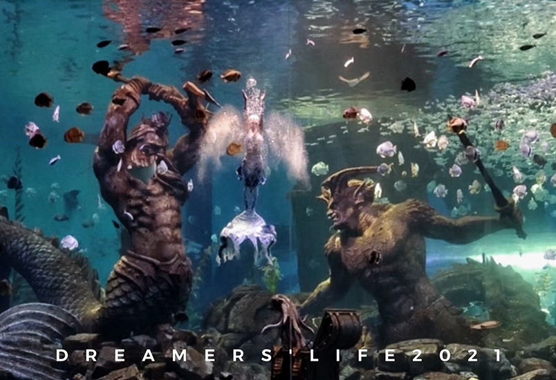 哈爾濱水下攝影團(tuán)隊